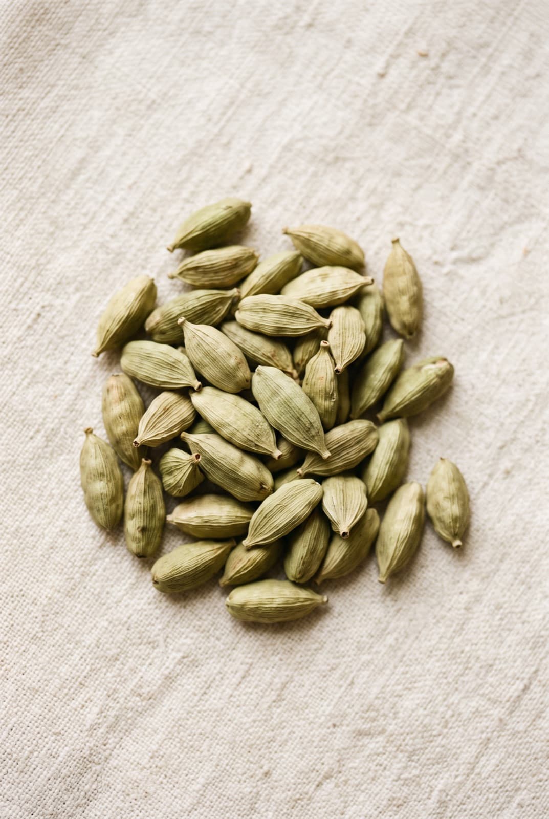 Green Cardamom — Elettaria cardamomum, on linen