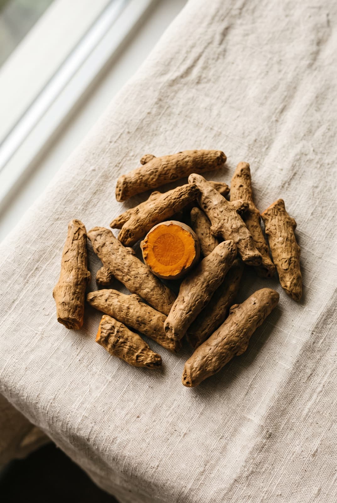 Turmeric — Curcuma longa, on linen